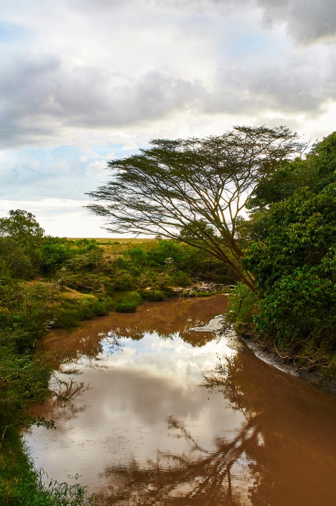 Tarek river, Fig Tree camp, La Mada Hotels